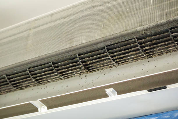 Best Ductwork Cleaning Services  in Waipio Acres, HI