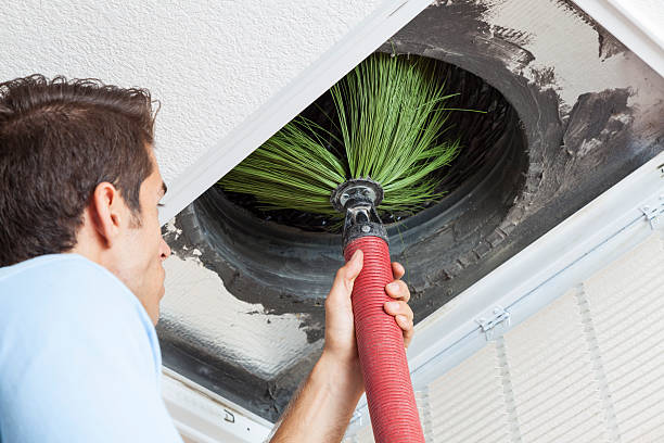 Best Professional Duct Cleaning Services  in Waipio Acres, HI